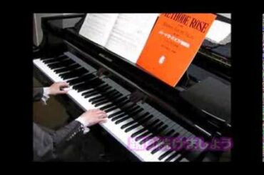 メトードローズ教則本～踊り続けましょう～