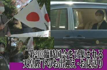 【第203臨時国会】10.26 国会を召集される天皇陛下のお出迎え・お見送り[桜R2/10/26]