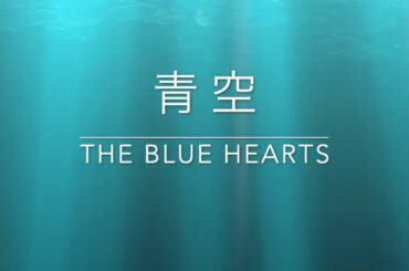 青空　-The Blue Hearts-  Covered by Tiger from Cross & Breed