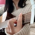 17才【朝が来る前に/秦基博/cover】marron/guitar
