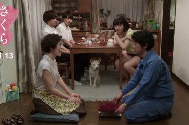 映画『さくら』本編映像／サキコさんはどいつや！