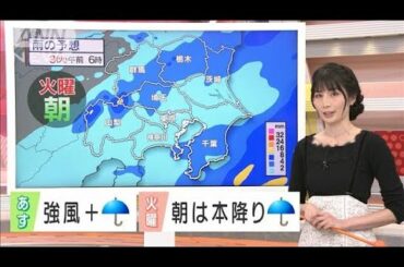 【関東の天気】あすは雨と強風　火曜は本降りに(2020年11月1日)
