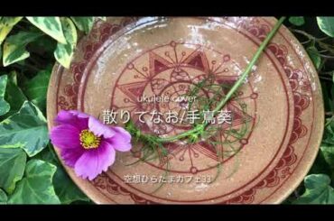 散りてなお／手嶌葵(映画『みをつくし料理帖』主題歌) 歌詞あり　ウクレレ弾き語りカバー[空想ひらたまカフェ33]  フルバージョンの歌詞は説明欄でどうぞ