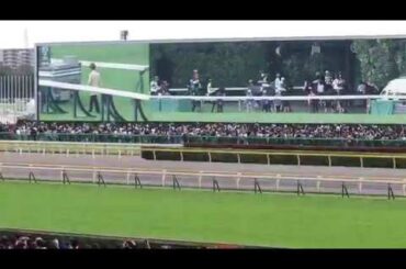 第160回天皇賞（秋）ファンファーレ