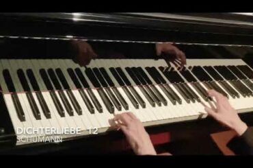 Dichterliebe 詩人の恋 / op48より12番 / R.Schumann /【練習日記】