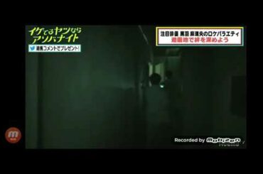 桜田通 Sakurada Dori in Haunted Hospital
