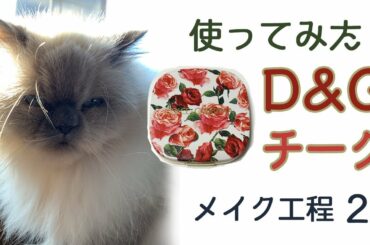 【メイク工程２】ドルチェ&ガッバーナのチーク使ってみた