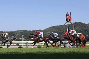 JRA 中央競馬 福島・新潟 特別競走 ファンファーレ