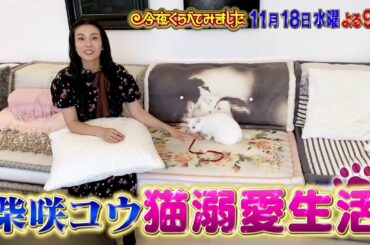柴咲コウが猫溺愛生活を公開！ZIP！お天気キャスター・貴島明日香のヤバすぎる猫生活とは！？今夜くらべてみました11月18日（水）よる9時放送！