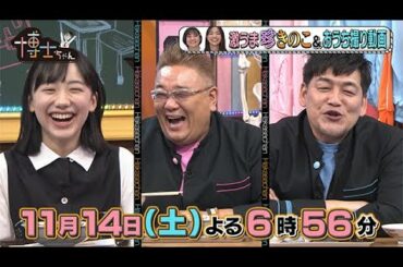 【サンドウィッチマン&芦田愛菜の博士ちゃん】2020年11月14日（土）放送！