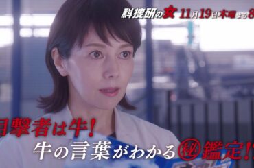 木曜ミステリー『科捜研の女』11月19日（木）よる8:00放送／第5話　予告動画（30秒）