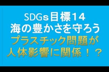 プラスチック問題が人体影響に関係！？～SDGs「海の豊かさを守ろう」～
