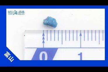 2017年 #14 マイクロプラスチック調査 | 海と日本PROJECT in 富山