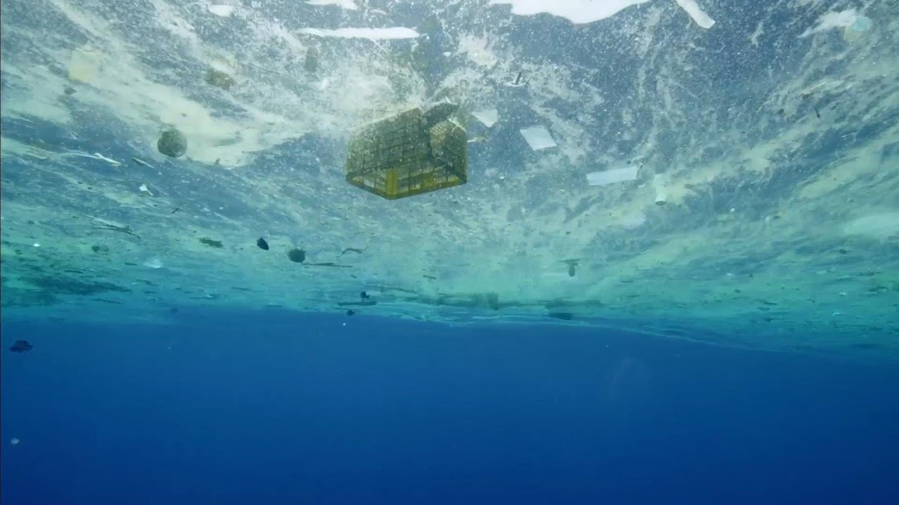 映画『プラスチックの海』予告編