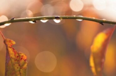 振り子／Uru／ピアノソロ中〜上級