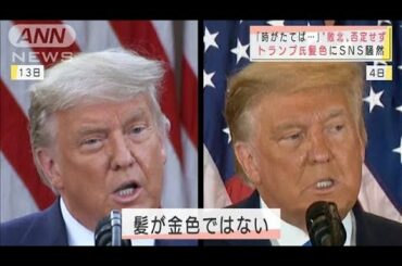 久々登場のトランプ大統領　髪の色にツッコミ相次ぐ(2020年11月14日)