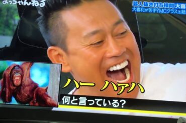宮川大輔の即興大喜利力