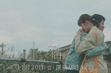 ドラマ25「猫」| 第2話 | 主演 小西桜子 前田旺志郎 | テレビ東京