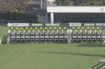 2020 エリザベス女王杯