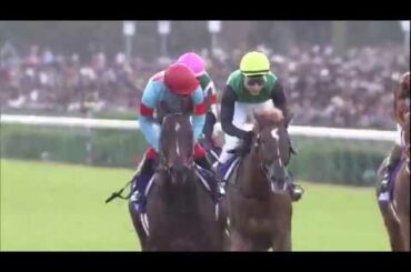 2019 マイルチャンピオンシップ