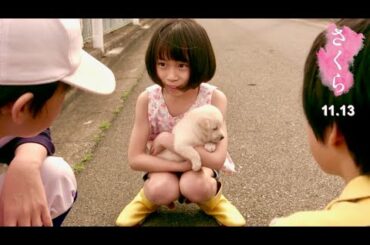 北村匠海の優しい声が3兄弟妹と愛犬を見守る/映画『さくら』本編映像 北村匠海の優しい声が3兄弟妹と愛犬を見守る/映画『さくら』本編映像