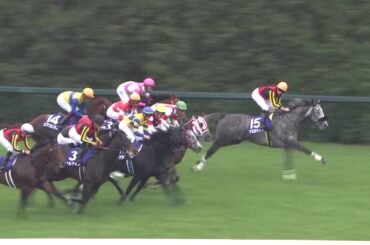 マイルチャンピオンシップ 2018年 ステルヴィオ マイルチャンピオンシップ 2018年 ステルヴィオ