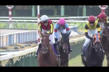 2019 エリザベス女王杯