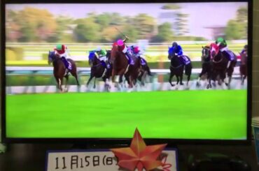 ジャニグチの競馬実況ライブ【福島記念・エリザベス女王杯】『もしたら』シリーズ