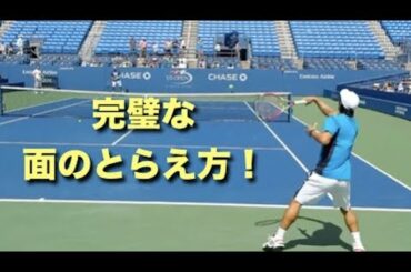 【錦織圭】面の捉え方が完璧すぎる錦織圭の練習風景【練習】