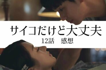 【韓国ドラマ】〇〇が真犯人なら落ち込む - サイコだけど大丈夫/12話/感想/考察 -