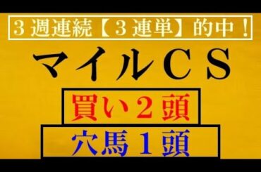 マイルＣＳ 2020【買いの２頭】【穴馬候補１頭】（マイルチャンピオンシップ2020）