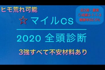 【競馬予想】　マイルCS 2020 全頭診断　事前予想　マイルチャンピオンシップ
