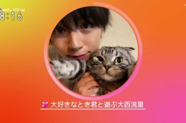 大西流星　もふもふモフモフ