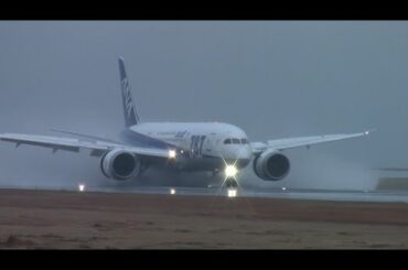 50万回再生！雨の滑走路で逆噴射するとこうなる！Boeing787