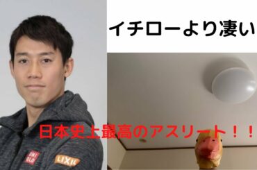【年収４０億】錦織圭の偉大さについて徹底解説！！！【テニス】