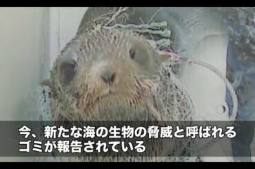 【富山県】新たな海の脅威“マイクロプラスチック” | ソーシャルイノベーションニュース