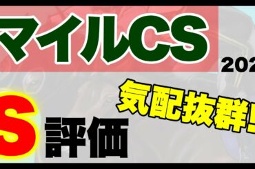 【マイルCS 2020】最終追い切り前の追い切り考察【優太の追い切り考察会場】[追い切り放送局][競馬][追い切り]