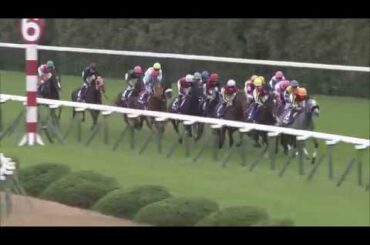 2018 マイルチャンピオンシップ