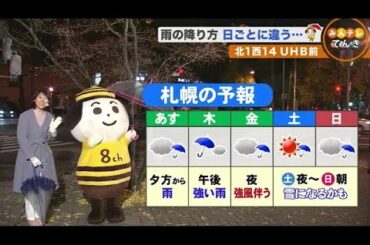 【北海道の天気 11/17(火)】まるで梅雨！？北海道の週間予報に傘マーク並ぶ (20/11/17 19:00)