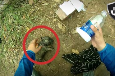 7 Amazing Rescues Caught On Camera