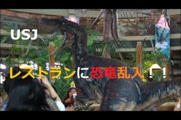 【USJ】　レストランに恐竜乱入！！　大好きな恐竜に会えて感激です！！。ボルケーノ大噴火ケーキ　も絶品・　【ユニバーサルスタジオジャパン　ディスカバリー・レストラン　】