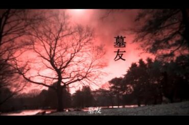 墓友 世にも奇妙な物語