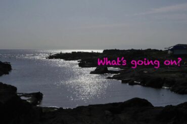 “ルーシーの足跡と桃子さんの独白” What’s going on?_19/05/05新月