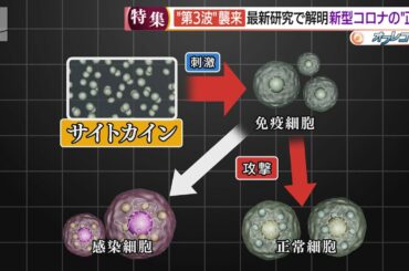 【第3波襲来】最新研究で徐々に解明される新型コロナの“正体”