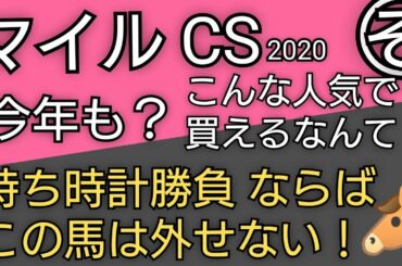 マイルCS『 レシステンシアを差し切りグランアレグリアの追い込みを抑えた所がゴール』のイメージが最も強い馬は？