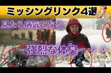 映画「ミッシング・リンク 英国紳士と秘密の相棒」のビッグフットはどんな生き物？未確認生物UMAを紹介！