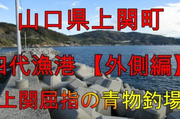 【海中動画】第55巻：山口県上関町四代漁港！の巻