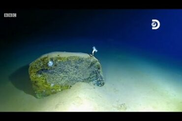 プラスチック汚染が深海にまで……　水深1万メートル超の世界