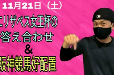 【競馬】エリザベス女王杯回顧と11月21日の阪神競馬の好配置発表動画です！