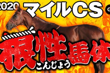 【マイルチャンピオンシップ 2020】◎グランでも◎サリオスでもない！某大手牧場の元スタッフが見抜くイチオシ馬体！GIフォトパドック【競馬 予想】